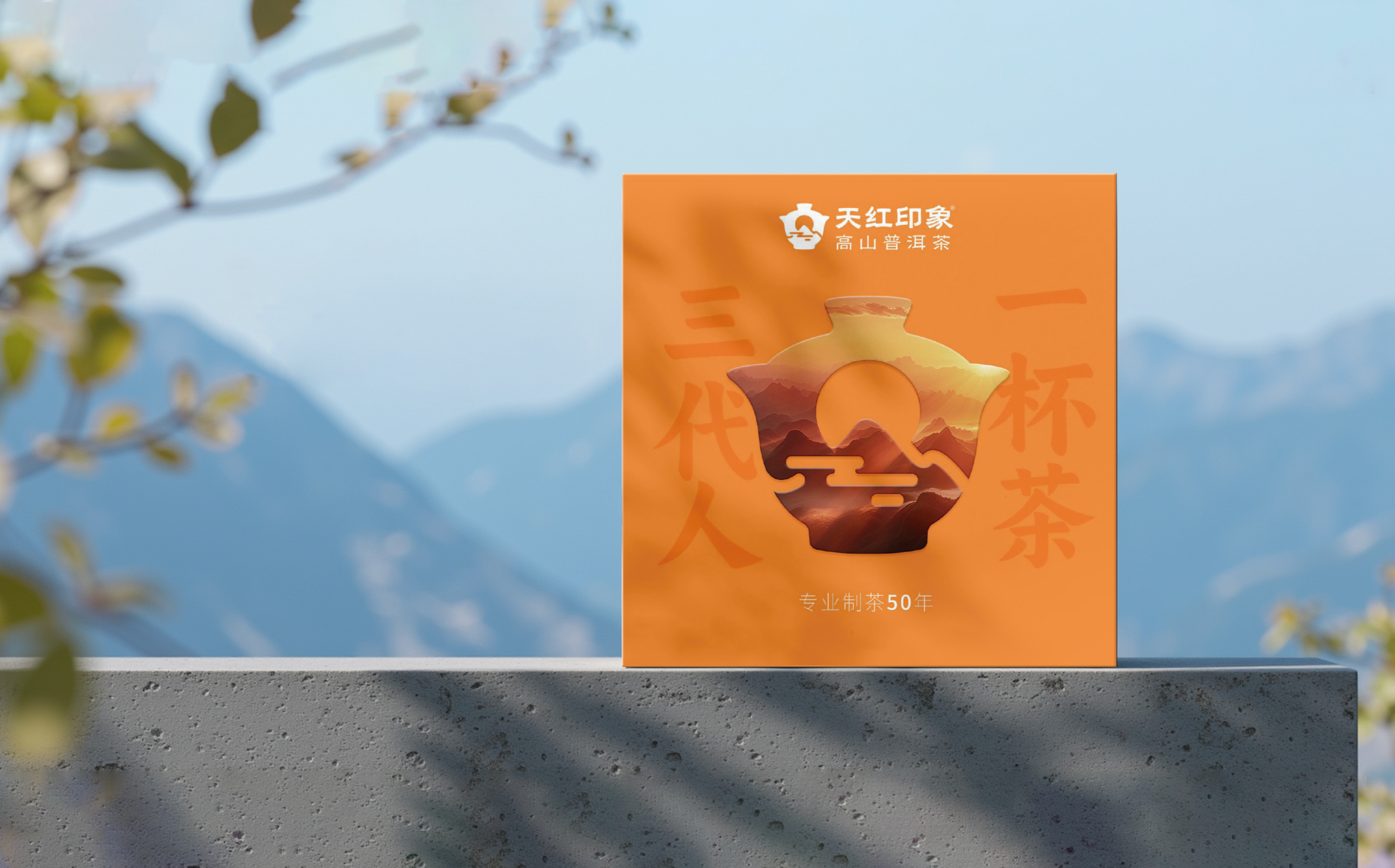 晨曦大.jpg